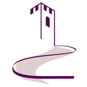 Abergavenny Street Survey